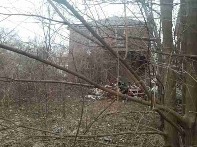 Testing again(7).jpg